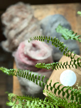 Load image into Gallery viewer, - Single drop - sample bag : GRÅ/grey alpacka mix - #honerocheirfiber