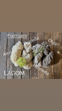 Load image into Gallery viewer, VARV - Henrietta  - Nov 2025 - #varvyarn - a twist on nutiden - boucle Swedish wool yarn