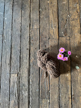 Load image into Gallery viewer, VARV - Synlig - Nov 2025 - #varvyarn - a twist on nutiden - boucle Swedish wool yarn