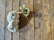 Load image into Gallery viewer, VARV - Henrietta  - Nov 2025 - #varvyarn - a twist on nutiden - boucle Swedish wool yarn