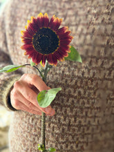 Load image into Gallery viewer, Nutiden - Värma - September Collection 2026 - #nutidenyarn - unspun Swedish wool yarn