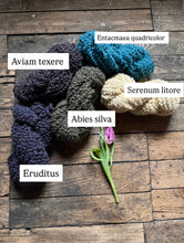 Load image into Gallery viewer, VARV - Entacmaea quadricolor - March 2026 - #varvyarn - a twist on nutiden - boucle Swedish wool yarn